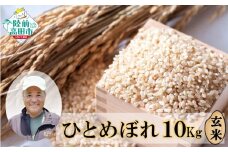 【令和7年度産 先行予約】新米 ひとめぼれ 玄米 10kg 海の見える農園で作った白米 【 米 お米 おにぎり おむすび お弁当 数量限定 産地直送 岩手県 陸前高田市 大和農園 】 RT3015-R7