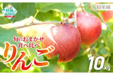 【先行予約】 品種おまかせ 旬のりんご 食べ比べセット 約10kg (目安：28～36玉) 2種類以上 【りんご リンゴ 果物 フルーツ 産地直送 新鮮 旬 仙果園 】9月上旬頃から発送予定 RT2468