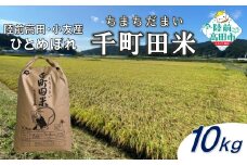 ★9月末までの限定寄附額★ 先行予約 令和7年産 新米 布袋様パッケージのひとめぼれ 千町田米(ちまちだまい) 10kg 【 お米 精米 白米 ひとめぼれ 産地直送 数量限定 】 2025年10月頃から順次発送予定 RT3028