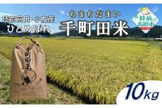 ★9月末までの限定寄附額★ 先行予約 令和7年産 新米 布袋様パッケージのひとめぼれ 千町田米(ちまちだまい) 10kg 【 お米 精米 白米 ひとめぼれ 産地直送 数量限定 】 2025年10月頃から順次発送予定 RT3028
