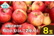 ★品種おまかせ★ 食べ比べが楽しい！ 旬の小玉りんご2種類 8個入り (家庭用) 【 りんご リンゴ 林檎 産地直送 訳あり セット 詰め合わせ ギフト 】 RT3027