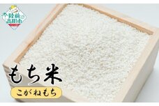 【先行予約】 もち米 2kg 品種：こがねもち 【 餅 赤飯 おこわ おはぎ おしるこ 数量限定 岩手県産 マルキヨファーム 】2025年10月頃から発送予定 RT2997