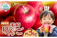 □□□米崎 りんご 3kg 　≪品種おまかせ≫【 数量限定 リンゴ 林檎 りんご 9月 10月 11月 12月 青林 王林 ジョナゴールド シナノスイート 等  岩手 陸前高田 産地直送 新鮮 アップル 家庭用 】RT670