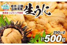 ■寄附額変更【2026年発送先行予約】無添加 生うに 500g（250g×2パック） 塩水パック 獲れたて直送！広田湾 ミョウバン不使用  高評価 【 うに ウニ ムラサキウニ  三陸産 岩手県 天然 濃厚 新鮮  陸前高田 】 ※期日指定不可※ RT3050