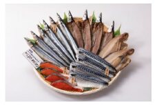 fc-26-013　干物詰合せ 6種10袋 永野商店