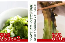 fc-39-014 三陸産生わかめ・めかぶセット【2月上旬から3月中旬頃お届け便】 ヤマキイチ商店 