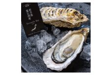 fc-42-001 【海洋深層水仕込み】釜石湾・尾崎牡蠣　10個セット【令和7年6月～7月頃にかけて順次発送予定】 日本かきセンター