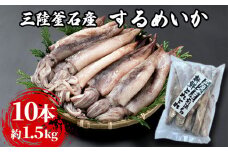 fc-64-002　三陸釜石産 するめいか 大容量パック！ 10本 約1.5kg  阪神低温