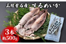 fc-64-001　三陸釜石産 するめいか 小分けサイズ 3本パック 約500g   阪神低温