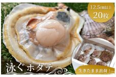 fc-39-026 ※貝毒発生中※ 泳ぐホタテ 特大20枚 ヤマキイチ商店