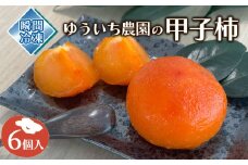 fc-71-001 ゆういち農園の甲子柿 6個入り