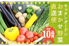 キッチンガーデンおまかせ野菜直送便／農家 野菜 サラダ 産地直送 旬 季節野菜 いろいろ 詰め合わせ 国産 冷蔵