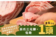 折爪 三元豚・佐助 まるっと 1頭／51㎏ 豚肉 ぶた肉 ブロック スライス ひき肉 挽肉 しゃぶしゃぶ 焼肉 とんかつ しょうが焼き ロース 肩ロース バラ ヒレ モモ ウデ 真空パック 小分け 冷蔵 国産 定期便
