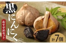 SEiKOH農苑　清孝さんの黒にんにく おすすめセット／ニンニク 大蒜 国産 100日熟成 健康 美容  約524ｇ パック入り