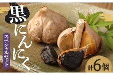 SEiKOH農苑　清孝さんの黒にんにく スペシャルセット／ニンニク 大蒜 国産 100日熟成 健康 美容 約3,224ｇ パック入り 袋入り