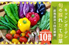 旬の採れたて 野菜 産地直送 定期便 年4回(9月・12月・2月・5月)／農家 旬 季節 野菜  加工品 詰め合わせ 4回お届け 定期便 冷蔵   