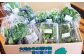 旬の採れたて 野菜 産地直送 定期便 年4回(9月・12月・2月・5月)