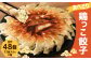 あべどり 鶏っこ餃子 48個 (12個×4箱)