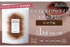 ウェリナ　ホエイ＆ソイプロテイン＋グルタミン　ココア味1kg(500g×2)
