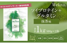 ウェリナ ソイプロテイン＋グルタミン 抹茶味 1kg(500g×2)  