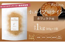 ウェリナ ホエイプロテイン カフェラテ味 1kg (500g×2)