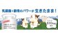 75720_DHC 生菌 ケフィア 30日分 6個セット (180日分)