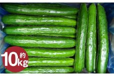 岩手にのへきゅうり【厳選品・Ａ品】10kg（5kg×2箱） 【2025年7月中旬から2025年9月下旬発送予定】／きゅうり キュウリ 胡瓜 野菜 A品 新鮮 採れたて 直送 夏野菜 お取り寄せ 贈答用 ギフト 旬 産直 産地直送 二戸市 岩手県 漬物 国産