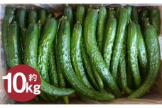 いわてひろファームの「岩手にのへきゅうり」訳アリ・Ｂ品 10kg（5kg×2箱） 【2025年7月中旬から2025年9月下旬発送予定】／訳あり きゅうり キュウリ 胡瓜 野菜 B品 新鮮 採れたて 直送 露地栽培 夏野菜 お取り寄せ 旬 産直 産地直送 二戸市 岩手県 漬物 国産