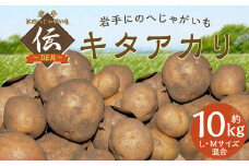【厳選品】岩手にのへじゃがいも「伝」キタアカリ (L・Mサイズ混合)  10kg 【2025年9月中旬から2026年2月下旬発送予定】／ジャガイモ じゃがいも 芋 イモ ポテト 野菜 お取り寄せ 農家 産地直送