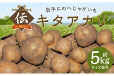 【厳選品】岩手にのへじゃがいも「伝」キタアカリ (サイズ混合) 5kg 【2025年9月中旬から2026年2月下旬発送予定】／ジャガイモ じゃがいも 芋 イモ ポテト 野菜 お取り寄せ 農家 産地直送