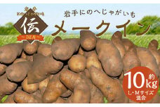 【厳選品】岩手にのへじゃがいも「伝」メークイン （L・Mサイズ）10kg 【2025年9月中旬から2026年2月下旬発送予定】／ジャガイモ じゃがいも 芋 イモ ポテト 野菜 お取り寄せ 農家 産地直送
