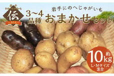 【厳選品】岩手にのへじゃがいも「伝」3～4種 品種おまかせ (L・Mサイズ混合) 10kg 【2025年9月中旬から2026年2月下旬発送予定】／ジャガイモ じゃがいも 芋 イモ ポテト 野菜 お取り寄せ  農家 産地直送 食べ比べ