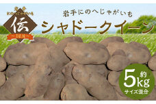 【厳選品】岩手にのへじゃがいも「伝」シャドークイーン（サイズ混合） 5kg 【2025年9月中旬から2026年2月下旬発送予定】／ジャガイモ じゃがいも 芋 イモ  ポテト 野菜 お取り寄せ 農家 産地直送