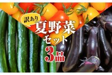 【訳あり】夏野菜セット3品【ミニトマト・なす・きゅうり】【2025年7月中旬～8月下旬発送予定】／ミニトマト トマト フルーツトマト なす きゅうり セット 野菜セット 詰め合わせ 詰合せ 野菜詰め合わせ 野菜詰合せ 野菜 夏野菜 直送 岩手県 二戸市