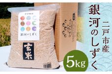 【令和7年産】二戸市産『銀河のしずく』玄米 5kg／ 米 玄米 ご飯 ごはん 岩手県 お取り寄せ 農家 産地直送