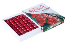二戸産 さくらんぼ 【紅秀峰】 約500g 【2025年7月中旬発送開始】 ／サクランボ フルーツ 果物 くだもの チェリー 贈り物 デザート  特選2L