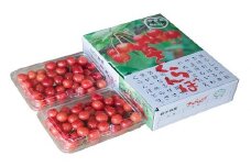 二戸産 さくらんぼ 【紅秀峰】 約700g 【2025年7月中旬発送開始】 ／サクランボ フルーツ 果物 くだもの チェリー 贈り物 デザート 秀L