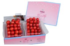 さくらんぼ 紅秀峰｢恋の雫｣ 約700g （約350g×2パック）【2025年7月上旬より発送予定】／サクランボ フルーツ 果物 くだもの チェリー
