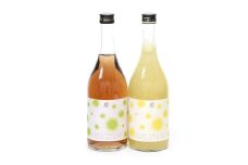 【南部美人】糖類無添加シリーズ 梅酒＆ゆずレモン酒セット ギフト箱入／お酒 酒 梅酒 ゆずレモン酒 セット 詰め合わせ 飲み比べ ギフト箱 ギフト