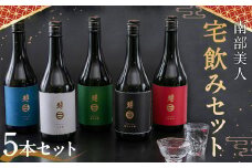 【南部美人】宅飲みセット 5本 飲み比べ