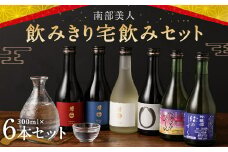 【南部美人】飲みきり宅飲みセット 300ml×6本セット 