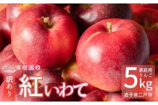 【訳あり】 紅いわて 約5kg 家庭用／わけあり りんご リンゴ フルーツ 果物 岩手 【2025年9月上旬－10月上旬発送予定】