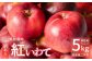 【訳あり】 紅いわて 約5kg 家庭用