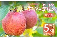 【訳あり】 サンふじ 約5kg 家庭用／わけあり りんご リンゴ フルーツ 果物 岩手 【2025年12月発送予定】