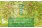 【訳あり】 サンふじ 約5kg 家庭用