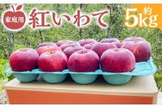 家庭用 りんご 紅いわて 約5kg 【スマートフレッシュ処理】 【2025年10月上旬～12月中旬発送予定】 ／ 林檎 果物 果実 フルーツ スイーツ デザート 岩手県 二戸市 常温
