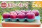 家庭用りんご 紅いわて 約5kg【スマートフレッシュ処理】