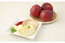 二戸産りんご 紅いわて 約10kg／りんご リンゴ 林檎 フルーツ 果物 旬 お取り寄せ【2025年10月上旬発送開始】