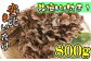 新鮮な生まいたけです！