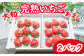 大粒であまい、完熟いちごをお送りします！！